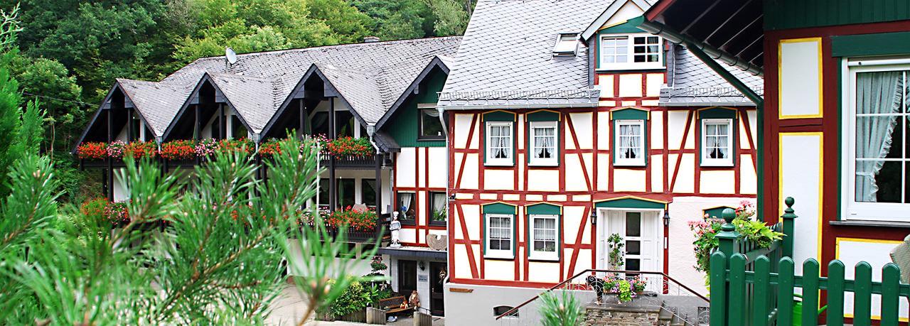 Baunhoeller-Muehle Hotel Emmelshausen Bagian luar foto